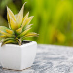 Trusted Landscape of Investment Adviser